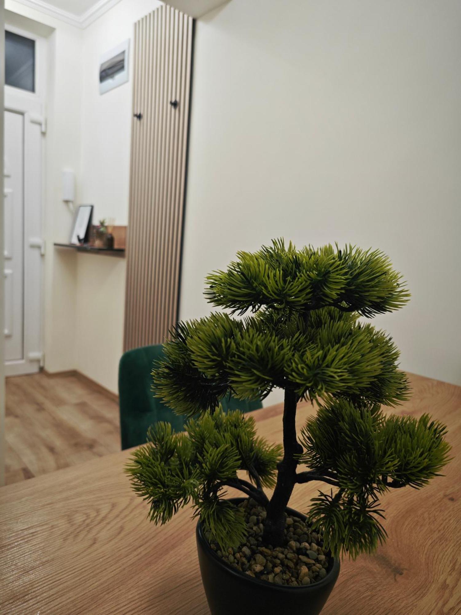 Central Greatforest Apartman Debrecen Ngoại thất bức ảnh